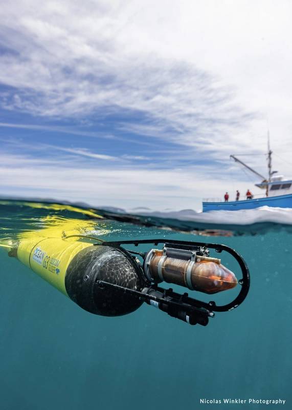 Robo-fish Capable Of Filtering Micro Plastics In Waterways Makes Waves