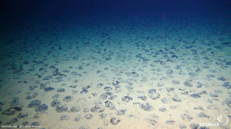 Subsea Mining Plans Pit Renewable Energy Demand Against Ocean Life