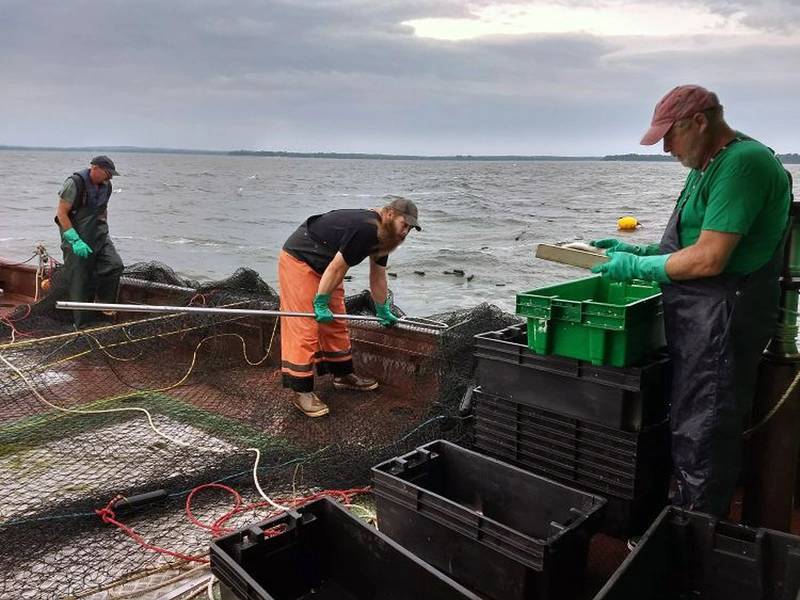 Commercial Fishing On The Great Lakes Is A Family